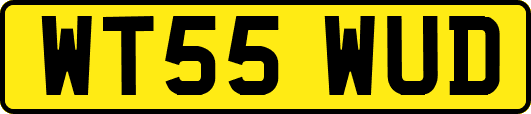 WT55WUD