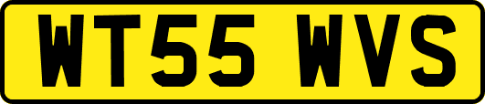 WT55WVS