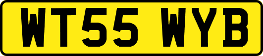 WT55WYB