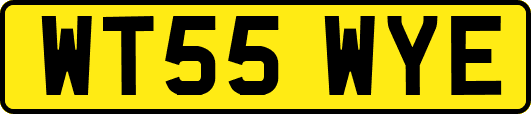WT55WYE