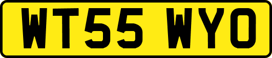 WT55WYO