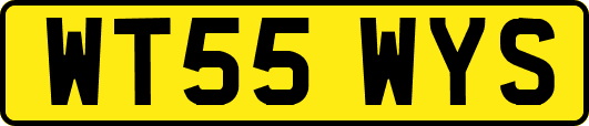 WT55WYS