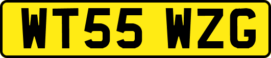 WT55WZG