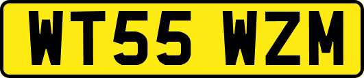 WT55WZM