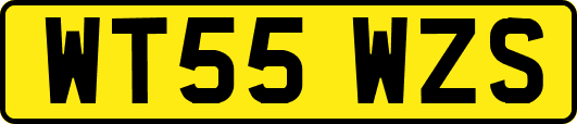 WT55WZS