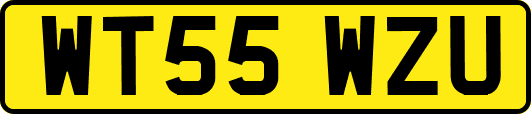WT55WZU