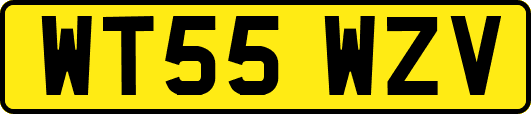 WT55WZV