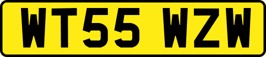 WT55WZW
