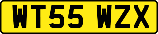 WT55WZX