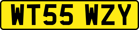 WT55WZY