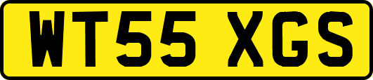 WT55XGS