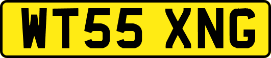WT55XNG