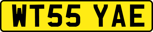 WT55YAE