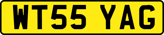 WT55YAG