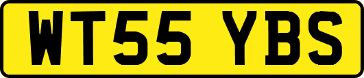 WT55YBS