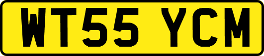 WT55YCM
