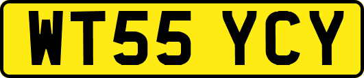 WT55YCY
