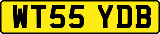 WT55YDB