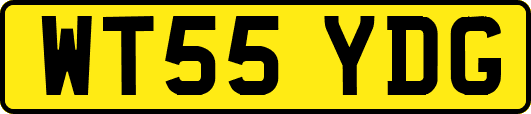 WT55YDG