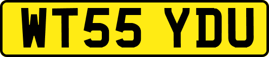 WT55YDU