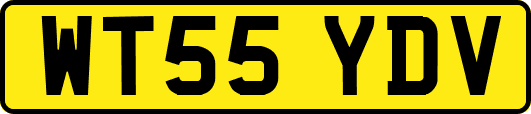 WT55YDV