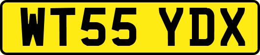 WT55YDX