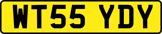WT55YDY