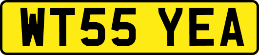 WT55YEA