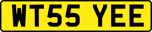 WT55YEE