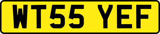WT55YEF