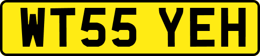 WT55YEH