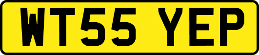 WT55YEP