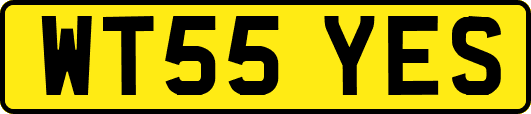 WT55YES