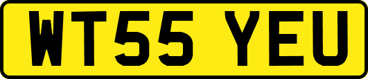 WT55YEU