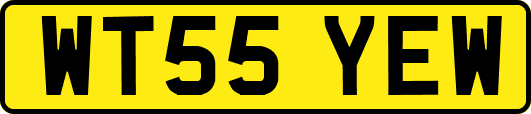 WT55YEW