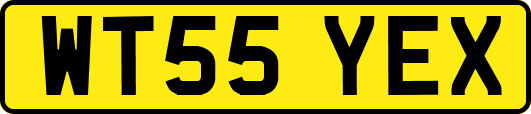 WT55YEX