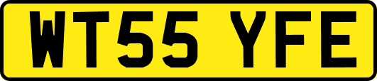 WT55YFE