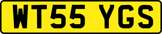 WT55YGS