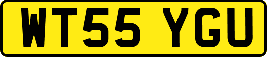 WT55YGU