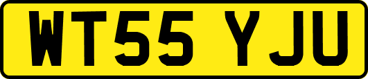 WT55YJU