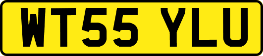 WT55YLU