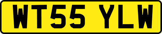 WT55YLW