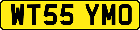WT55YMO