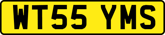 WT55YMS