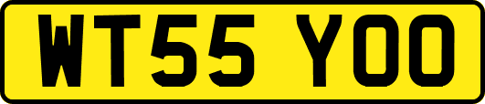 WT55YOO