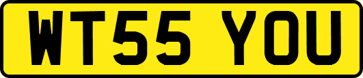 WT55YOU