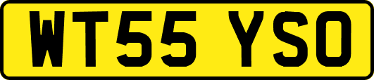 WT55YSO