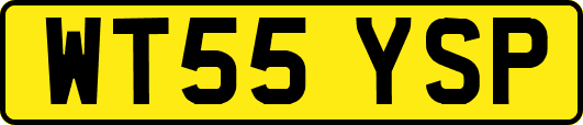 WT55YSP