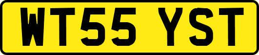 WT55YST