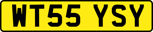 WT55YSY
